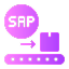 SAP Migration Services 